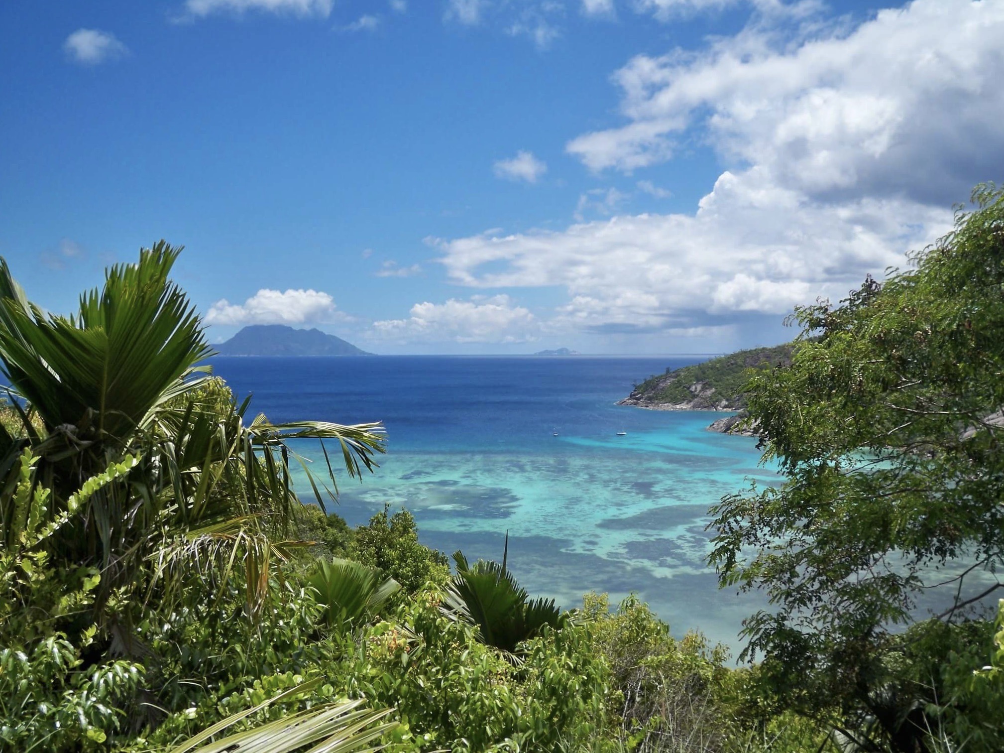 Image for Urgent Climate Action appeal - coral reef bleaching event